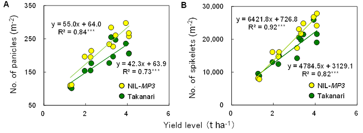 Fig. 2. Comparison of the number of panicles (A) and spikelets (B) between Takanari and NIL-MP3 across 12 field experiments in Madagascar