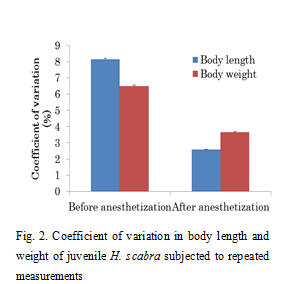 Fig.2. Coefficient of variation in body length and weight of juvenile H.scabra subjected to repeated measurements