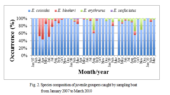 Fig.2. Species composition of juvenile groupers caught by sampling boat from January 2007 to March 2010