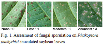 Fig.1. Assessment of fungal sporulation on Phakopsora pachyrhizi-inoculated soybean leaves.