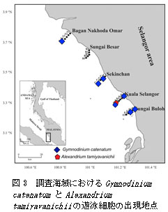 図3　調査海域におけるGymnodinium catenatumとAlexandrium tamiyavanichiiの遊泳細胞の出現地点