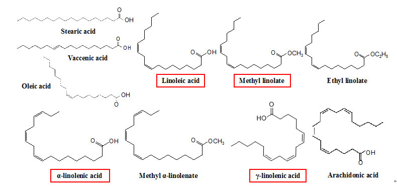 Fig. 1. Structure formulae of various fatty acid and fatty acid ester. Substance with an enclosure has nitrification inhibitory activity.