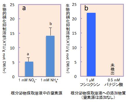 図3 ソルガムの生物的硝化抑制活性に及ぼす窒素源（a）とH+-ATP アーゼの活性促進物質フシコクシンおよび活性阻害物質バナジン酸（b）の添加の影響(水耕栽培、根分け法）