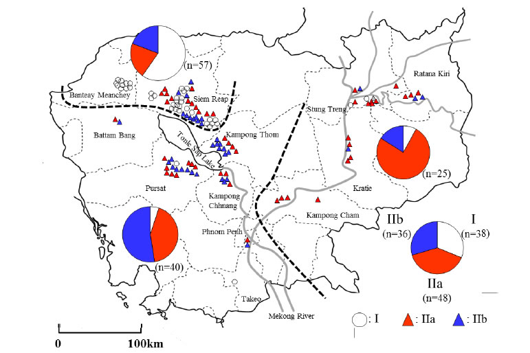 Fig. 2. Distribution of blast isolates, classified into three groups--I , IIa, and IIb--in Cambodia.