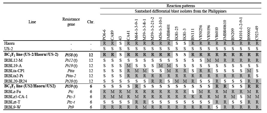 Table 1. Reaction patterns of Haoru and segregation lines harboring new resistance genes to standard differential blast isolates