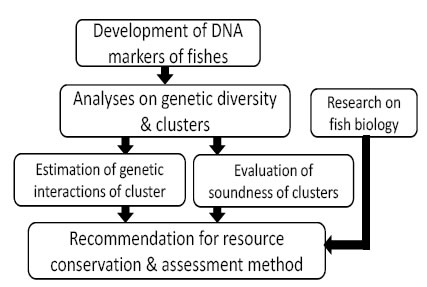 Fig. 4. Significance in usage of DNA markers for resource conservation & sustainable exploitation.
