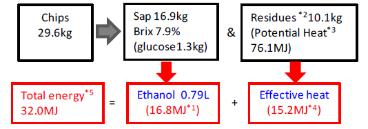 Fig. 1. Energy flow in ethanol production and in sap-squeezed residues. 