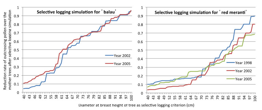 Fig. 2. Reduction rate of outcrossing pollen over the mother trees after selective logging simulation with every 1cm increment of cutting limit from 40 to 100cm (below).