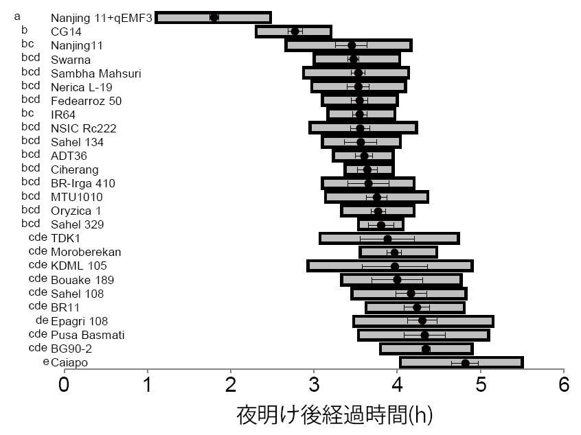 図１ 南京11号の早朝開花系統(Nanjing11+qEMF3)と各主力品種との開花時刻の比較