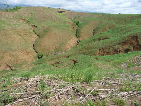 Photo 1. Gully erosion appears at the study site near Ilagan City, Isabela Province, Philippines(taken on November 23, 2010)