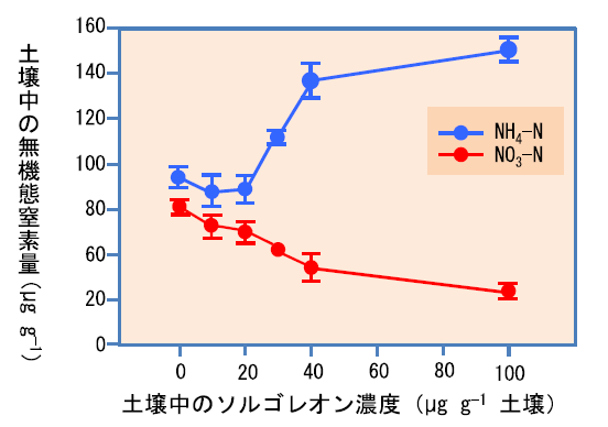 図4 ソレゴレオン添加土壌（添加濃度 0、10、20、30、40、100µg g-1）を20°Cで60日間保持した後の無機態窒素（NH4-NとNO3-N）の濃度　土壌への硫酸アンモニウムの添加量はNとして200 µg g-1