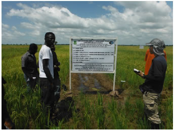 siwyg","type":"media","field_deltas":{"3":{}},"fields":{},"attributes":{"alt":"Fig. 2. Demonstration in an on-farm field (at Ziong Village, a suburb of Tamale City)