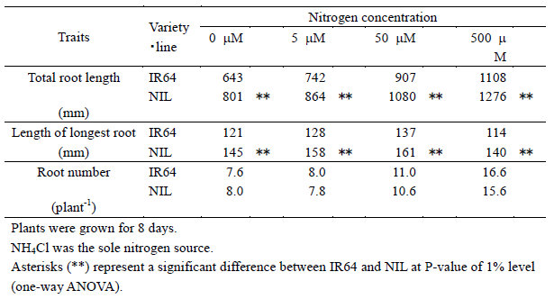 Table 1. Elongation and development of roots in NIL for qRL6.4-YP5 under a wide range of nitrogen concentrations