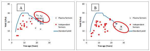 Fig. 1. Relationship between tree age and fresh fruit bunch (FFB) yield (left: Company A case study, right: CompanyB case study). 