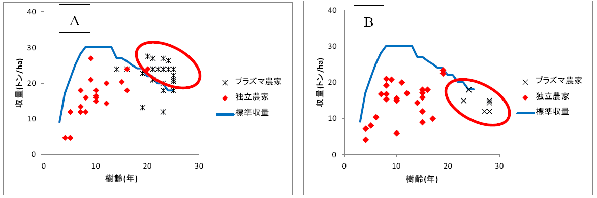 図1 オイルパーム樹齢と果房収量の関係（A：A社事例、B：B社事例）