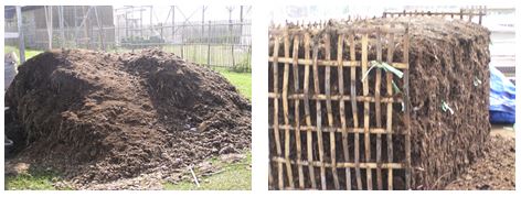 糞堆肥の製造過程