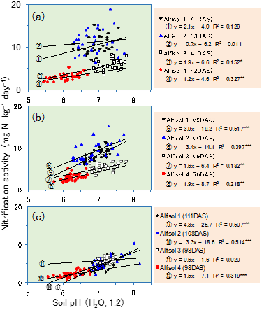 Fig. 2. Relationship between nitrification activity and soil pH (H2O, 1:2) of rhizosphere soil in each sampling (early (a), middle (b), and late (c) stage of growth) DAS:days after sowing