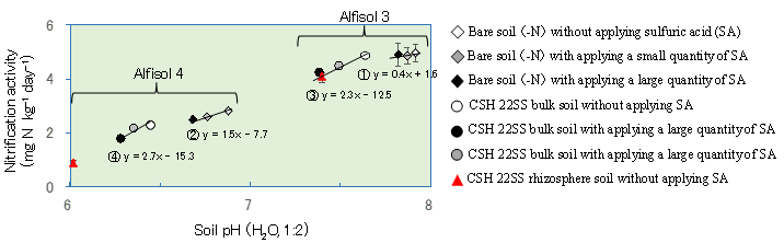 Fig. 3. Effects of soil pH modification on nitrification activity
