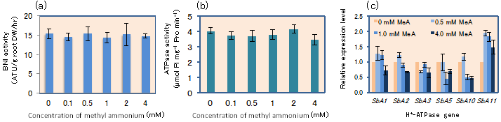 Fig. 3. The effect of methyl-ammonium (MeA), a non-metabolizable analogue to NH4+, on BNI release (a), the H+-ATPase activity (b), and the expression of the H+-ATPase genes in sorghum roots (c)