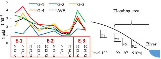 Fig. 1. Average yields of genotype groups across environment groups. G: Genotype by cluster analysis, E: Environment group