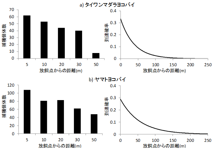 図3 トラップで捕獲された放飼虫の距離別頻度分布例（左）と任意の距離までの到達確率分布（右）