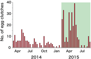 Fig. 2. The number of egg clutches collected at outdoor traps in Laos. (The part shaded in green showed a marked improvement.)