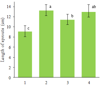Fig. 2. The length of soybean sprouts treated by slightly acidic electrolyzed water (SAEW) after five days of germination