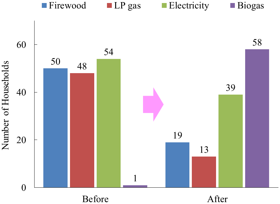 Fig. 2. Changes in cooking fuel usage before and after biogas digester (BD) installation