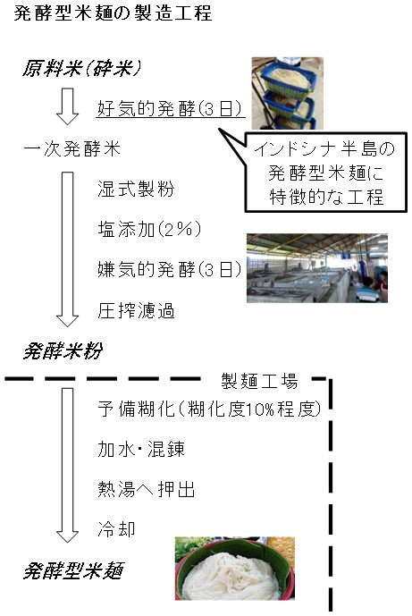 図１ タイの発酵型米麺 カノムチーンの製造工程