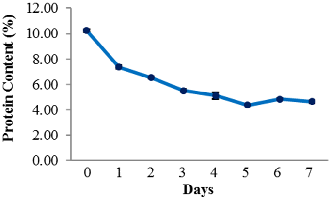 Fig. 2. Changes in protein content of rice during fermentation.