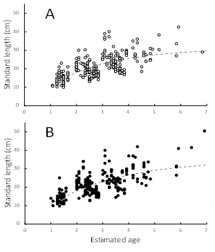 Fig. 2. Growth models of Pa koh (A: female; B: male)