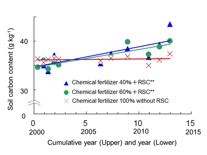 Fig. 4. Change in total carbon (g kg-1) in the soil (0–10 cm) in the experimental paddy.