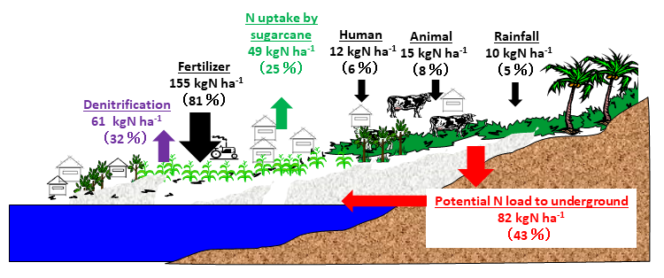 Fig. 3. Estimated nitrogen balance using nitrogen load to ground surface in the research area