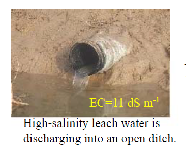 Fig. 2. Outlet of collecting drain