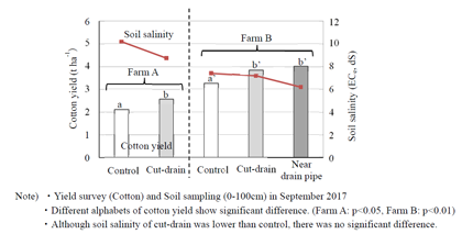 Fig. 3. Crop yield and soil salinity in the field with shallow subsurface drainage