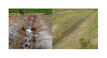 Fig. 3. Test canal 6 months after installing