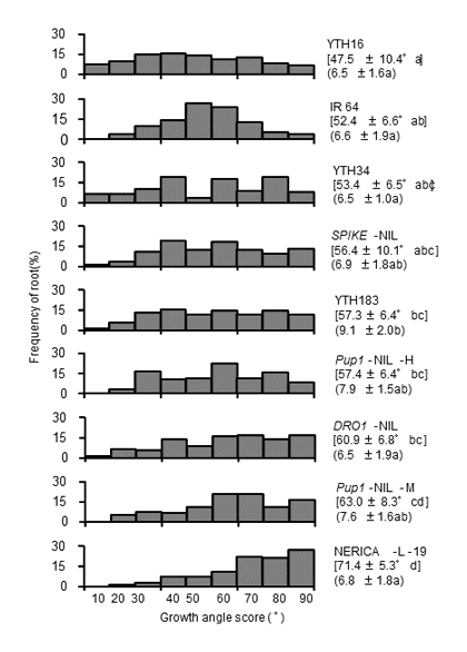 "Fig. 2. Root angle distributions in IR 64 and eight accessions with the IR 64 genetic background were investigated using the seedling tray method. ","title":"Fig. 2. Root angle distributions in IR 64 and eight accessions with the IR 64 genetic background were investigated using the seedling tray method. "