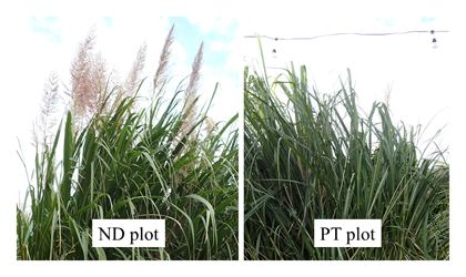Fig. 2. Heading of JW4 in ND and PT plot.