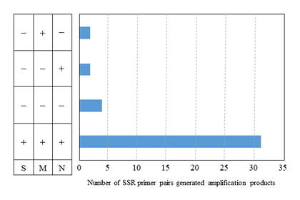 Fig. 3. Application of 39 SSR primer pairs to the Saccharum complex.