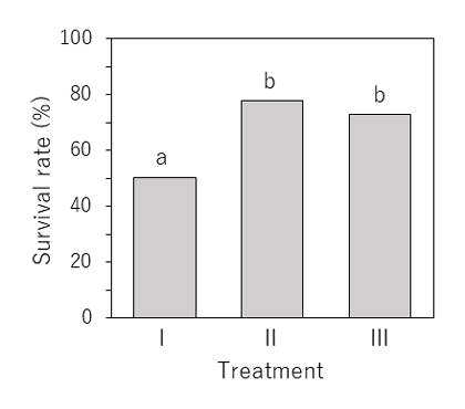 Fig. 3. Survival rates of postlarvae during the 2 weeks after settling to the bottom, in three treatment groups.