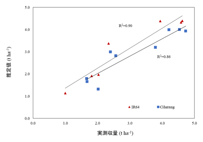 図2 ORYZAによる播種時期別収量予測精度