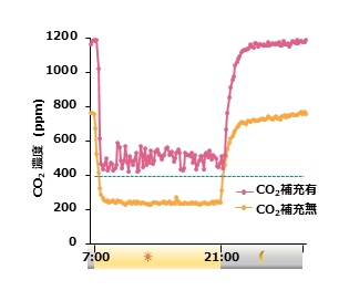 図2 ダイズ栽培時における人工気象器内のCO2濃度は、昼間（明期）に著しく低下する