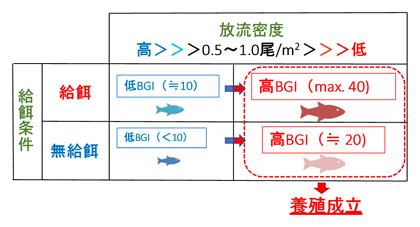 図4 放流密度および給餌の有無が養魚生産性（BGI）に与える影響のイメージ図
