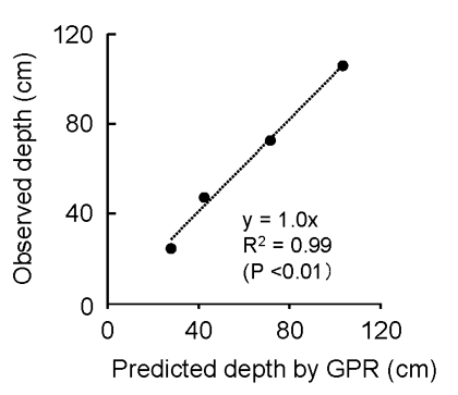 Fig. 2. Relationship between predicted depth Fig. 3. Relationship between sorghum yield and and observed soil depth at which the petroplinthic effective soil depth (d in Fig. 1) horizon starts (d in Fig. 1)