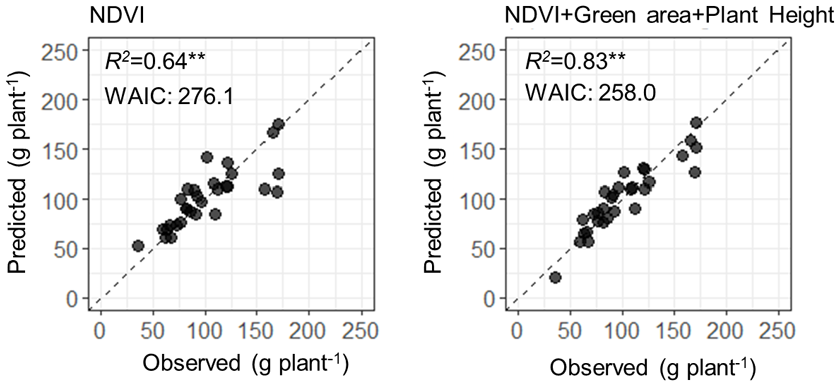 Fig. 3. Improvement of the model prediction using additional parameters of green area and plant height.