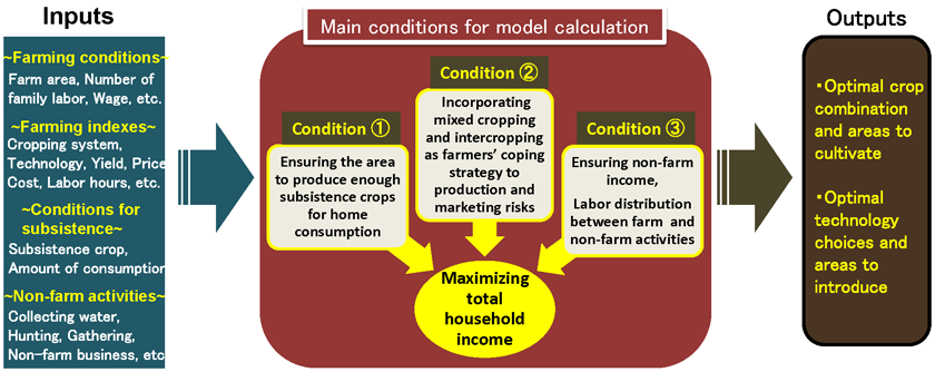Fig. 1. A farm management model reflecting the conditions of African smallholder farming