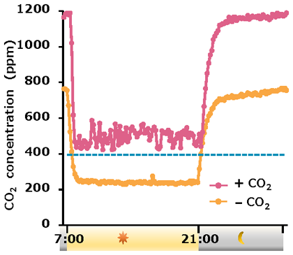 Fig 2. The internal CO2 concentrations within growth chambers containing soybean plants are decreased during light periods. 