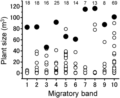 Fig. 2. Plant-size distribution at each site where 10 migratory bands of Schistocerca gregaria roosted. 