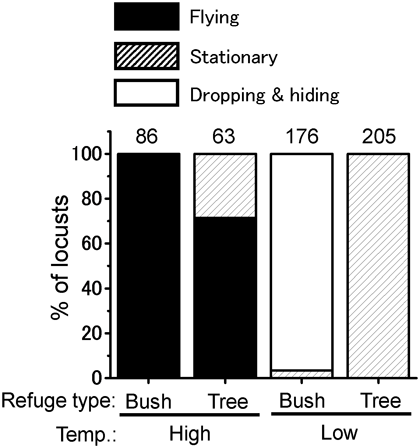 Fig. 4. Defensive responses exhibited by adults including flying, stationary, and dropping and hiding by using plants as a refuge.