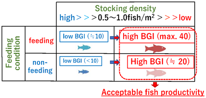 Fig. 4. Schematic image of the effects of stocking density and feeding condition as contributory factors to fish productivity (BGI)